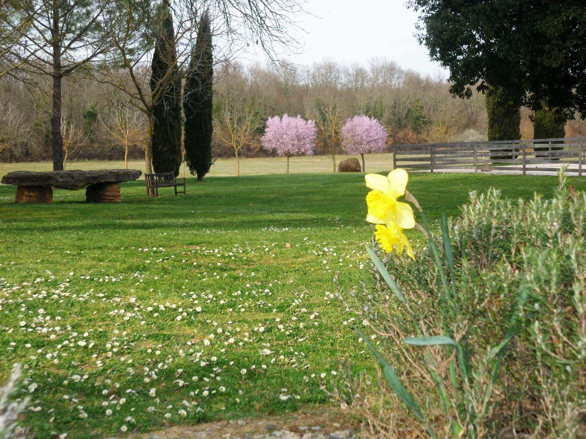 Villa Fattoria Agriturismo Nerbona à Casole dʼElsa Extérieur photo