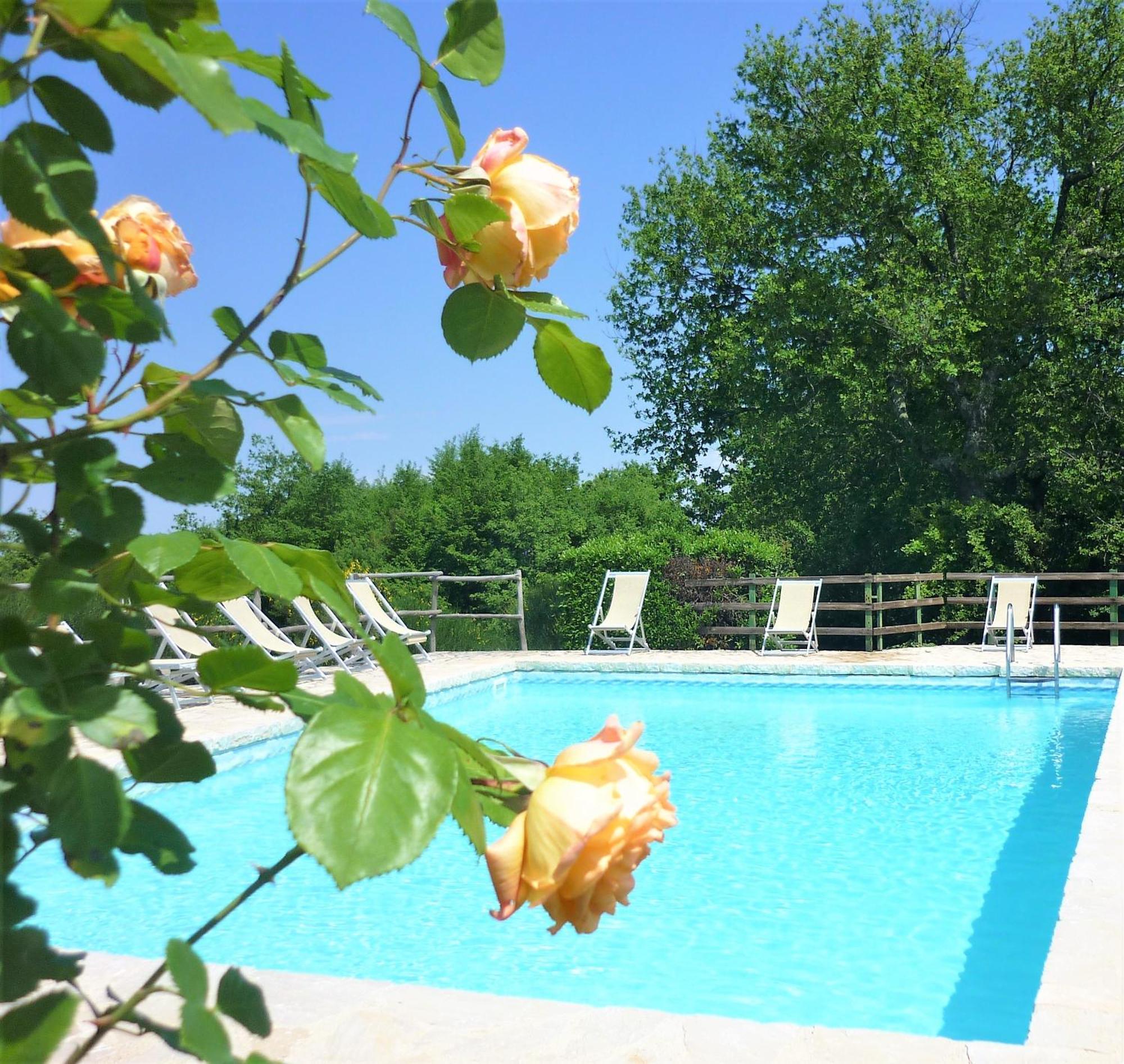 Villa Fattoria Agriturismo Nerbona à Casole dʼElsa Extérieur photo