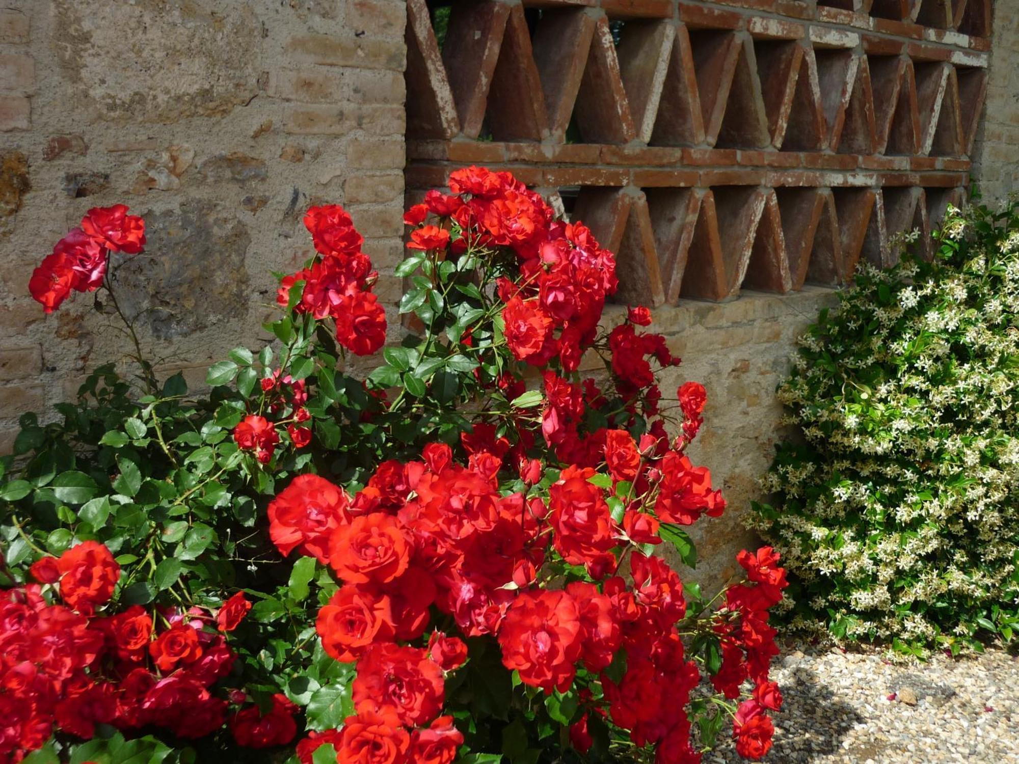 Villa Fattoria Agriturismo Nerbona à Casole dʼElsa Extérieur photo