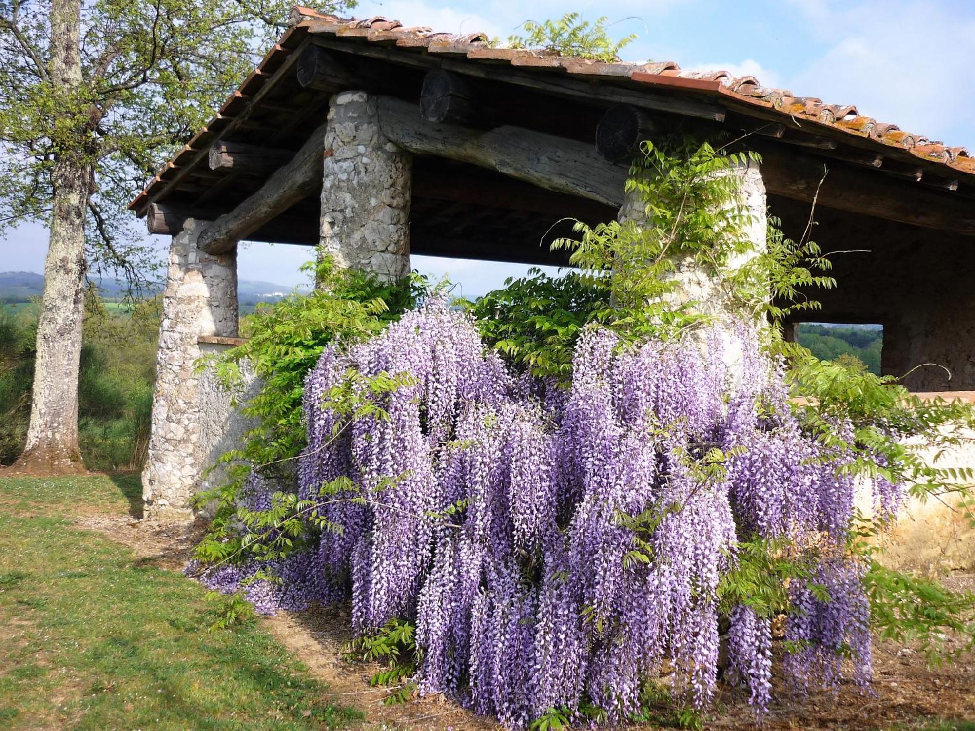 Villa Fattoria Agriturismo Nerbona à Casole dʼElsa Extérieur photo